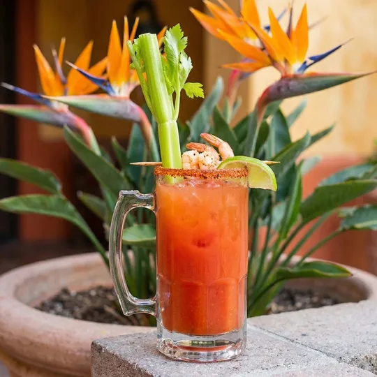 Michelada in beer mug with celery and shrimp garnish at Ixtapa Cantina, Lunenburg MA
